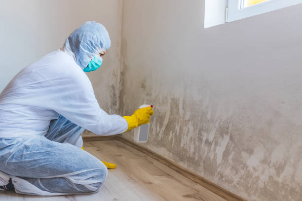 Mold Remediation specialist working in Fayville